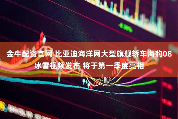 金牛配资官网 比亚迪海洋网大型旗舰轿车海豹08冰雪视频发布 将于第一季度亮相